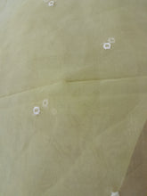 Load image into Gallery viewer, Republic Duppta