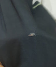 Load image into Gallery viewer, Lulusar Shirt Handwork