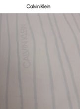 Load image into Gallery viewer, Calvin Klein Filled Pillow Pair