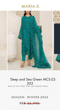 Load image into Gallery viewer, Mariab Sleeves Pair