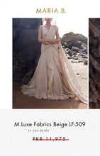 Load image into Gallery viewer, Mariab Fabric Luxe Chicken Kari Chiffon