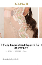 Load image into Gallery viewer, Mariab Duppta Ready to wear Foil work