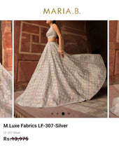 Load image into Gallery viewer, Mariab Fabric Luxe Zari Net