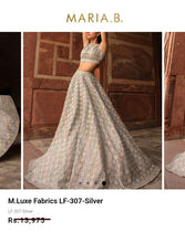 Load image into Gallery viewer, Mariab Fabric Luxe Zari Net