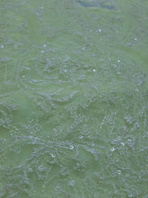 Load image into Gallery viewer, SanaSafinaz 2-Piece