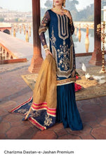 Load image into Gallery viewer, Charizma Front & handwork Sleeves Pair