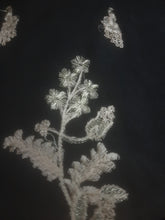 Load image into Gallery viewer, Branded Center Panel & Side Panel