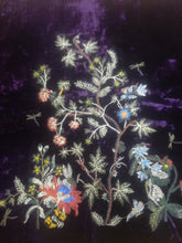 Load image into Gallery viewer, Sana Safinaz Velvet Shirt