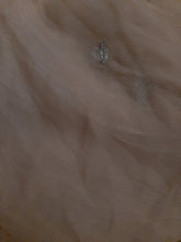Load image into Gallery viewer, Branded Duppta Embroidered chiffon
