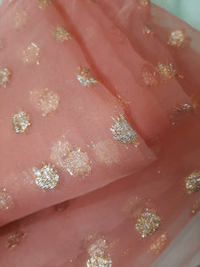 Mariab Fabric Jacquard Organza / lurex