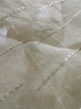 Load image into Gallery viewer, Maryam N Maria Fabric Embroidered Organza
