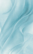 Load image into Gallery viewer, Mariab Fabric Plain Organza
