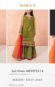 Mariab Neckline Hyderabadi