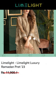 Limelight Shirt Embroidered Organza