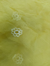 Load image into Gallery viewer, Mariab Duppta Luxe Chiffon Chicken Kari
