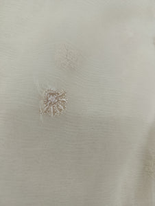 Mariab Duppta Luxe Chiffon Embroidered