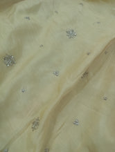 Load image into Gallery viewer, Mariab Farshi Gharara Ready To Wear Rawsilk
