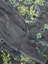 Load image into Gallery viewer, Mariab Fabric Luxe Chicken Kari  Chiffon
