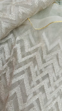 Load image into Gallery viewer, Designer Fabric Luxe Embroidered organza
