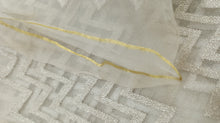 Load image into Gallery viewer, Designer Fabric Luxe Embroidered organza
