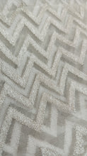Load image into Gallery viewer, Designer Fabric Luxe Embroidered organza
