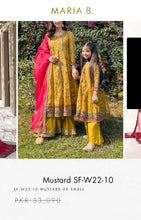 Load image into Gallery viewer, Mariab Fabric Embroidered Organza
