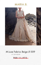 Load image into Gallery viewer, Mariab Fabric Luxe Chicken Kari  Chiffon
