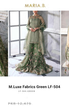 Load image into Gallery viewer, Mariab Fabric Luxe Zari Net
