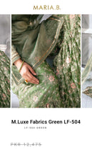 Load image into Gallery viewer, Mariab Fabric Luxe Zari Net
