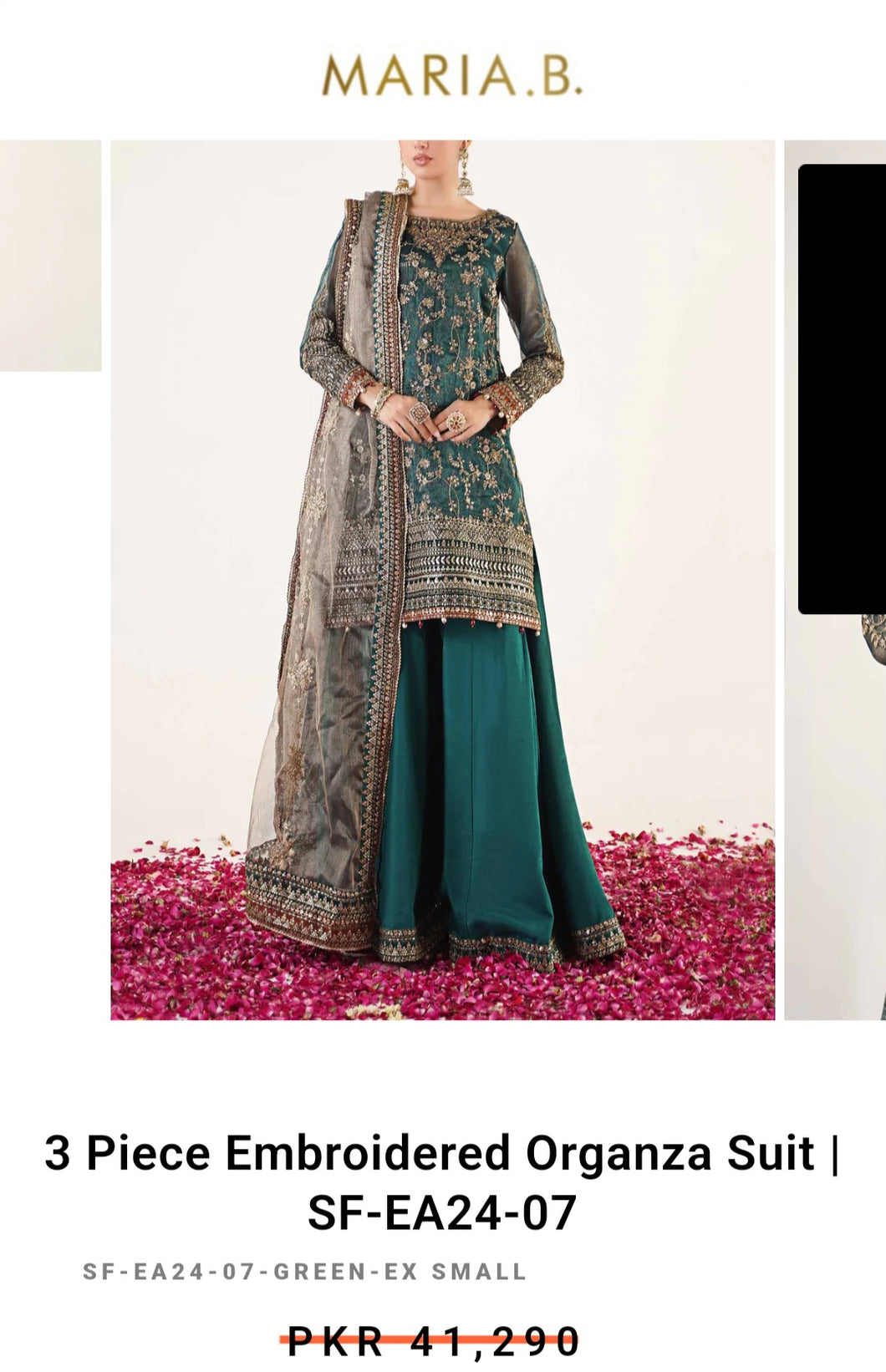 Mariab Fabric Embroidered Zari Net