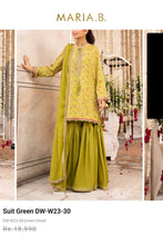 Load image into Gallery viewer, Mariab Trouser Gharara  Ready to Wear
