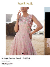 Load image into Gallery viewer, Mariab Fabric Luxe Embroidered Net Laser cut
