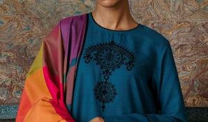Zara Shahjahan Shawl