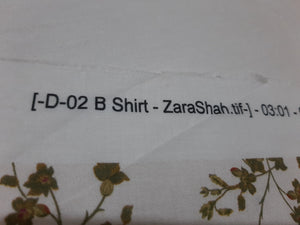 Zara Shahjahan Shirt
