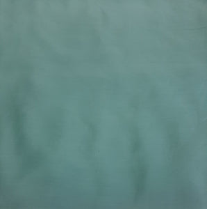 Republic Cotton Raw Silk Fabric