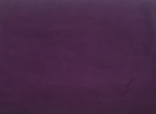 Load image into Gallery viewer, Republic Cotton Raw Silk Fabric
