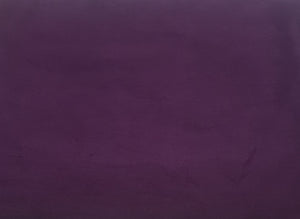 Republic Cotton Raw Silk Fabric
