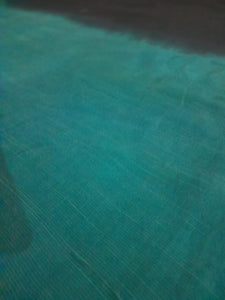 Charizma Fabric Plain Raw Silk