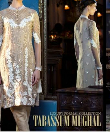 Tabassum Mughal Front&Sleeves Panel