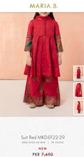 Load image into Gallery viewer, Mariab Fabric Embroidered
